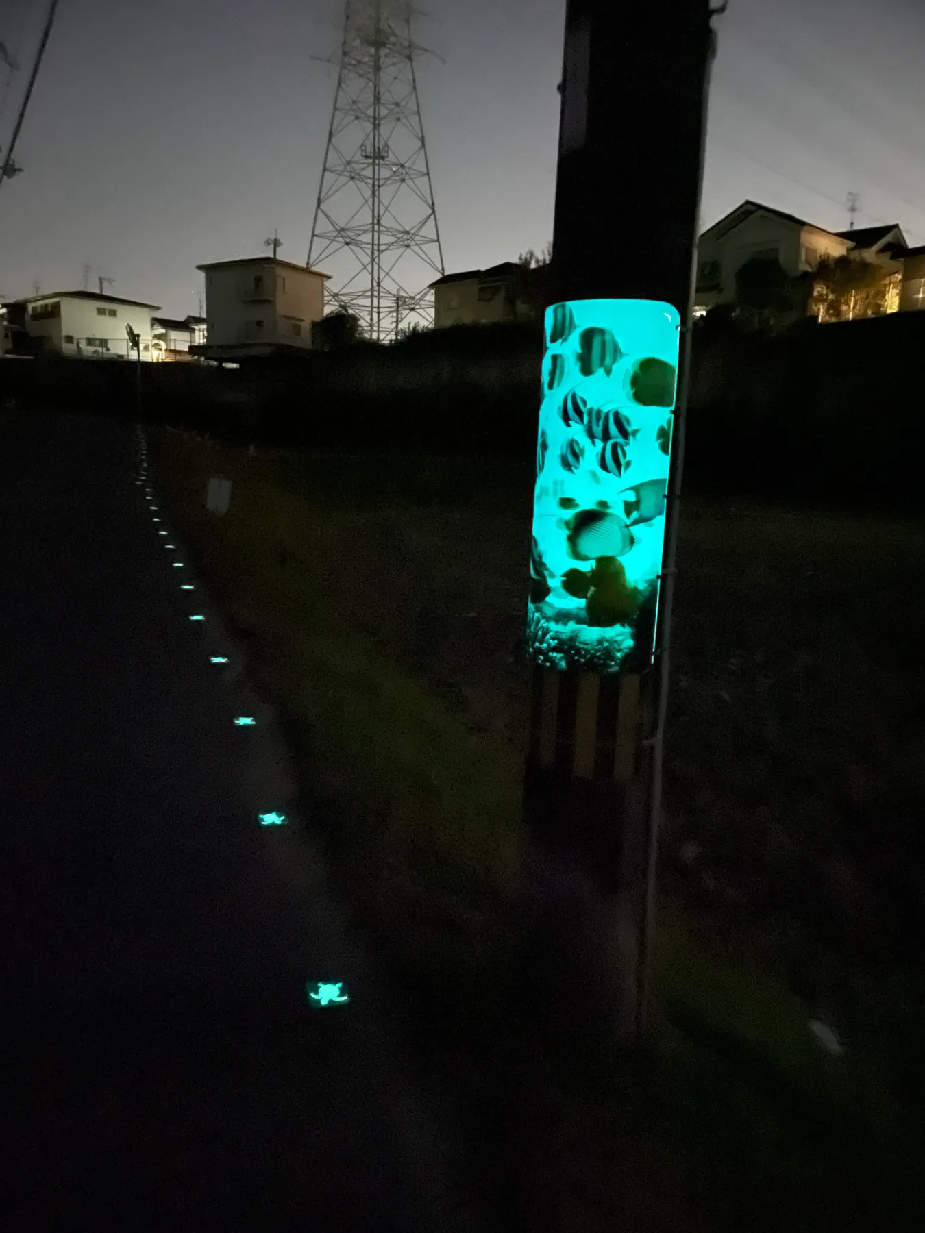 全国初！暗い夜道に光るアート 「ナイトコンシェルジュ」 社会実証が