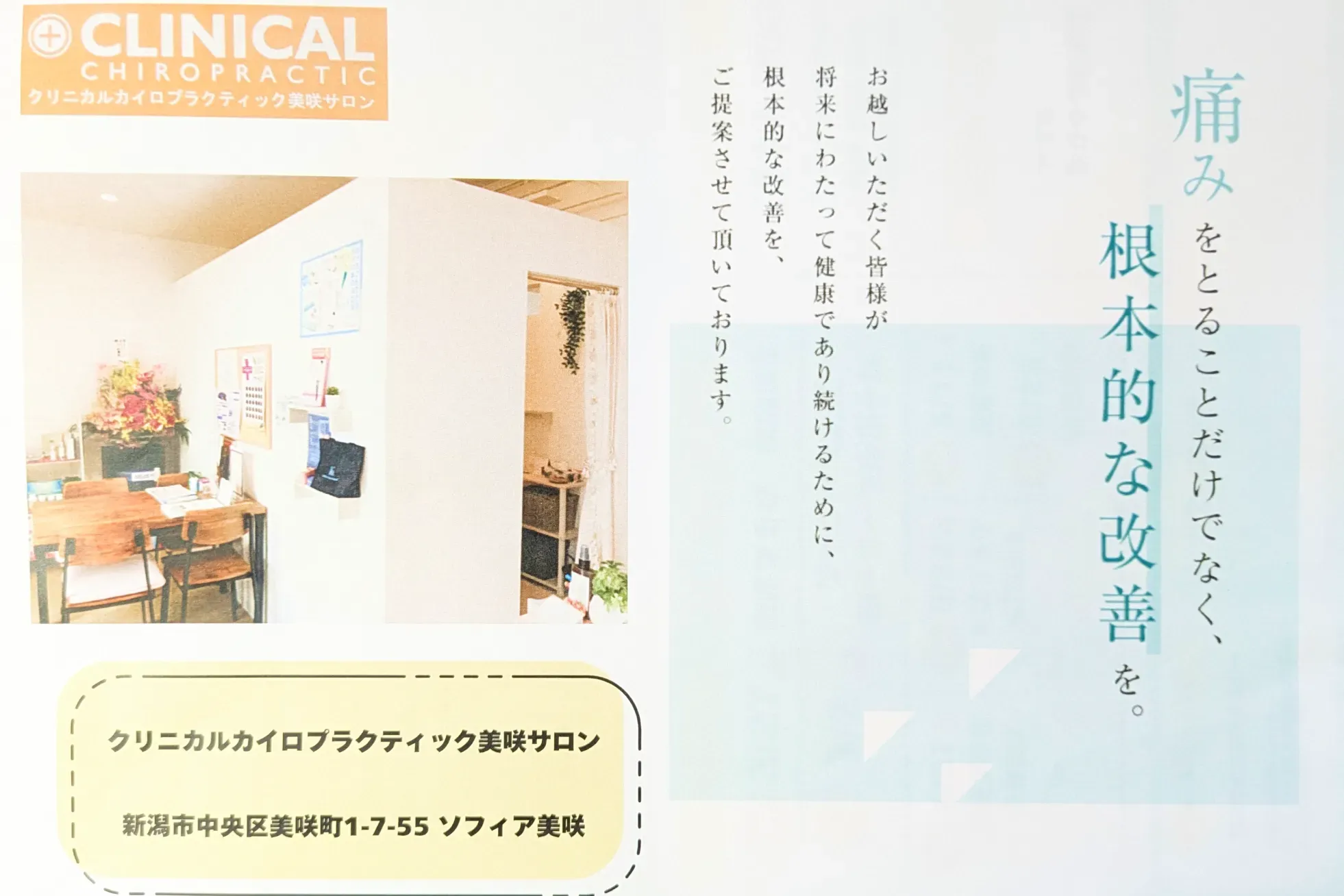 限定値下げ　クリニカルカイロプラクティック 特定的なバイオメカニカルアプローチ クリニカルカイロプラクティック-特定的などバイオメカニカル