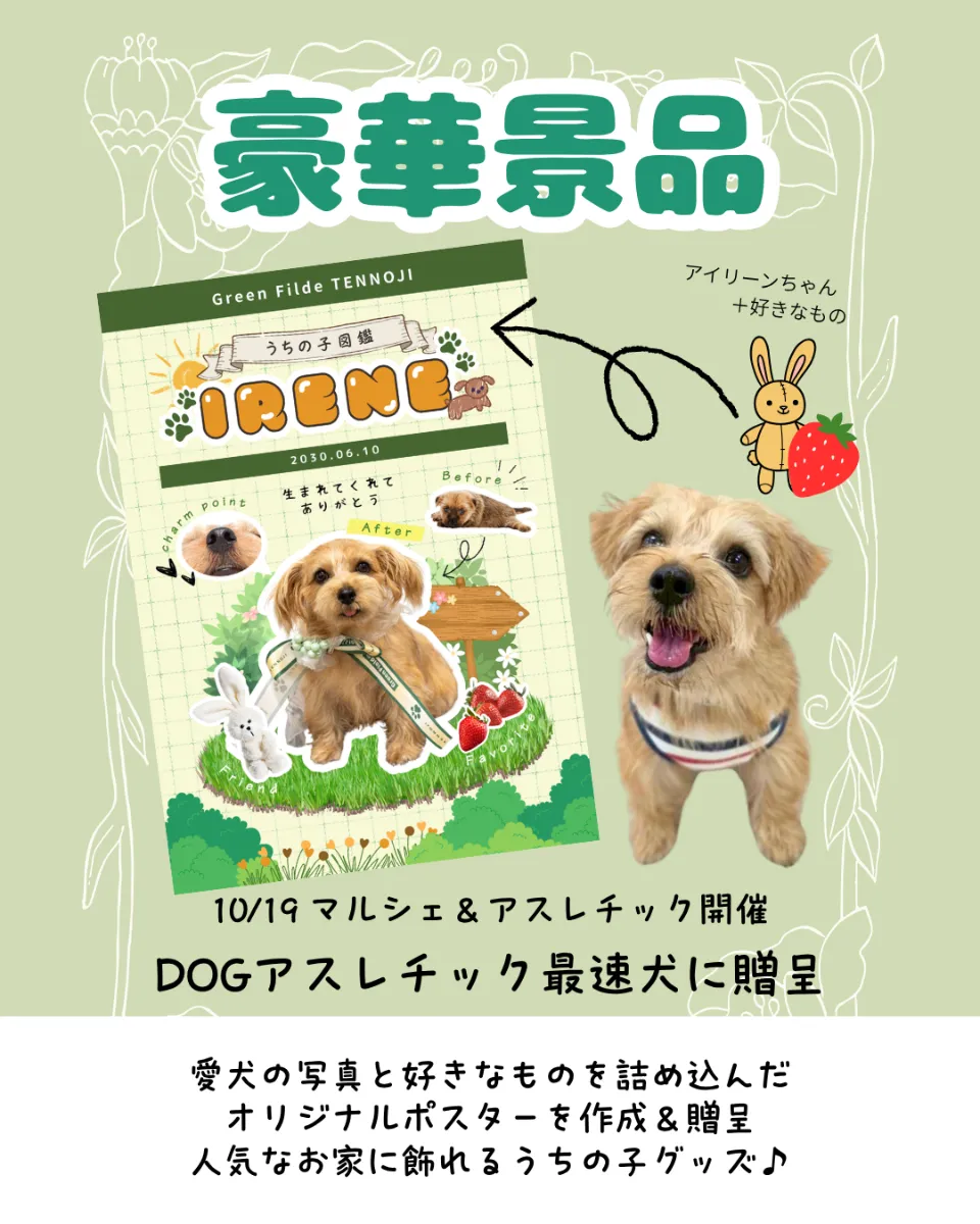 Green Field TENNOJI | NEWS | 10月19日(日)開催！【来場無料】屋内DOG