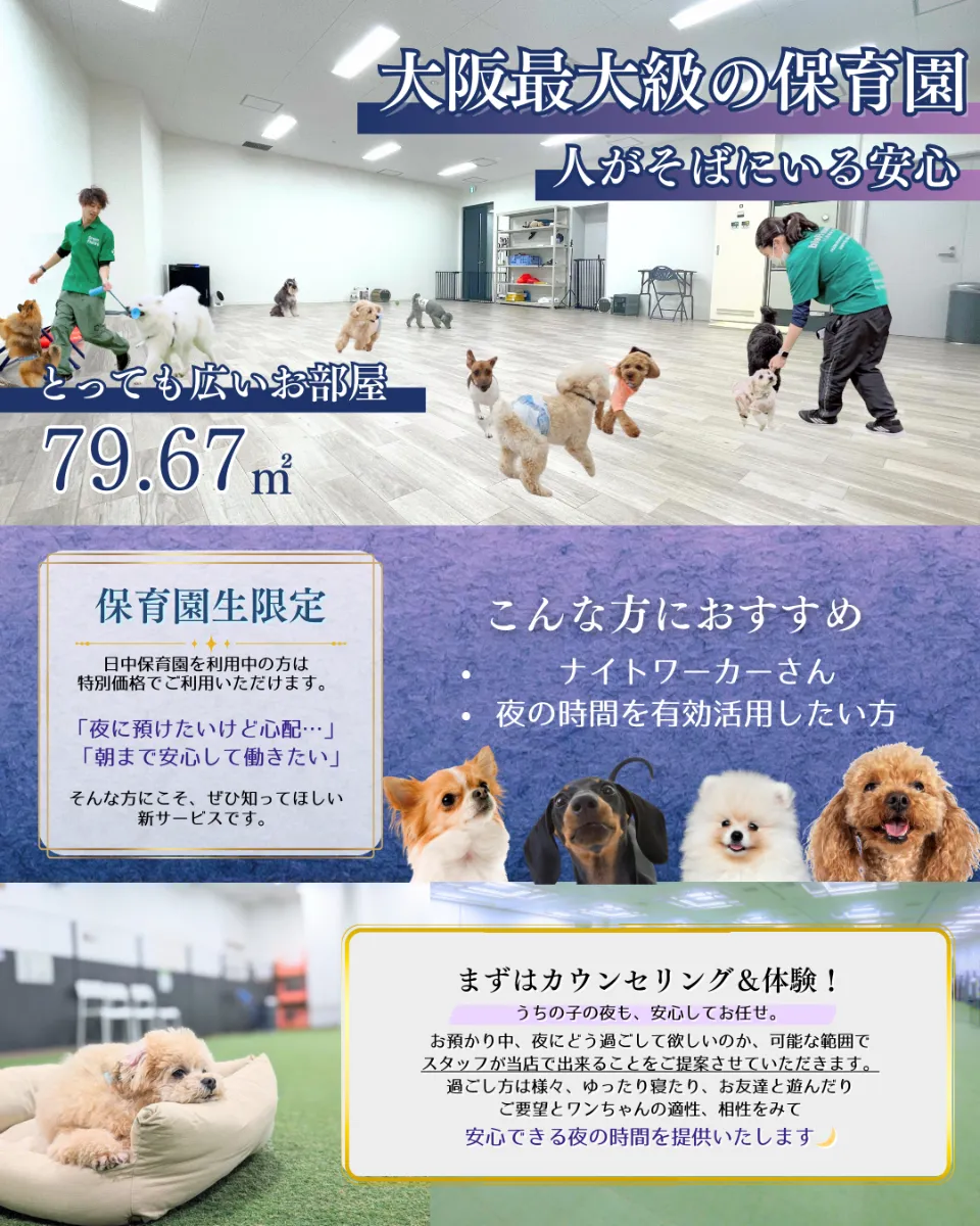 Green Field TENNOJI | NEWS | 夜間お預かりサービス開始のお知らせ