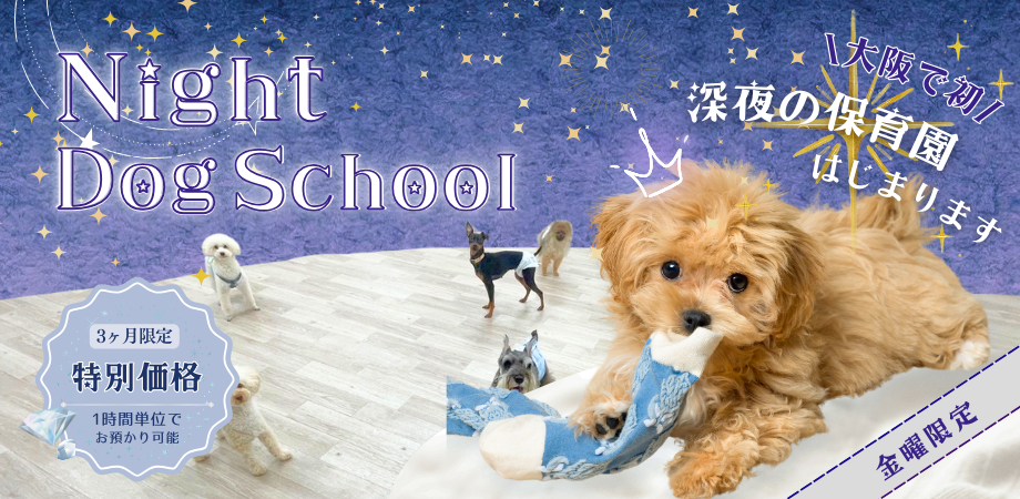 Green Field TENNOJI | NEWS | 夜間お預かりサービス開始のお知らせ