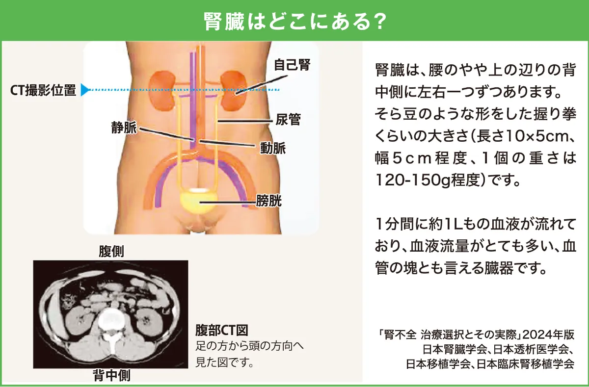 肝・胆・膵・腎の疾患 : 疾患・病態別栄養管理の実際