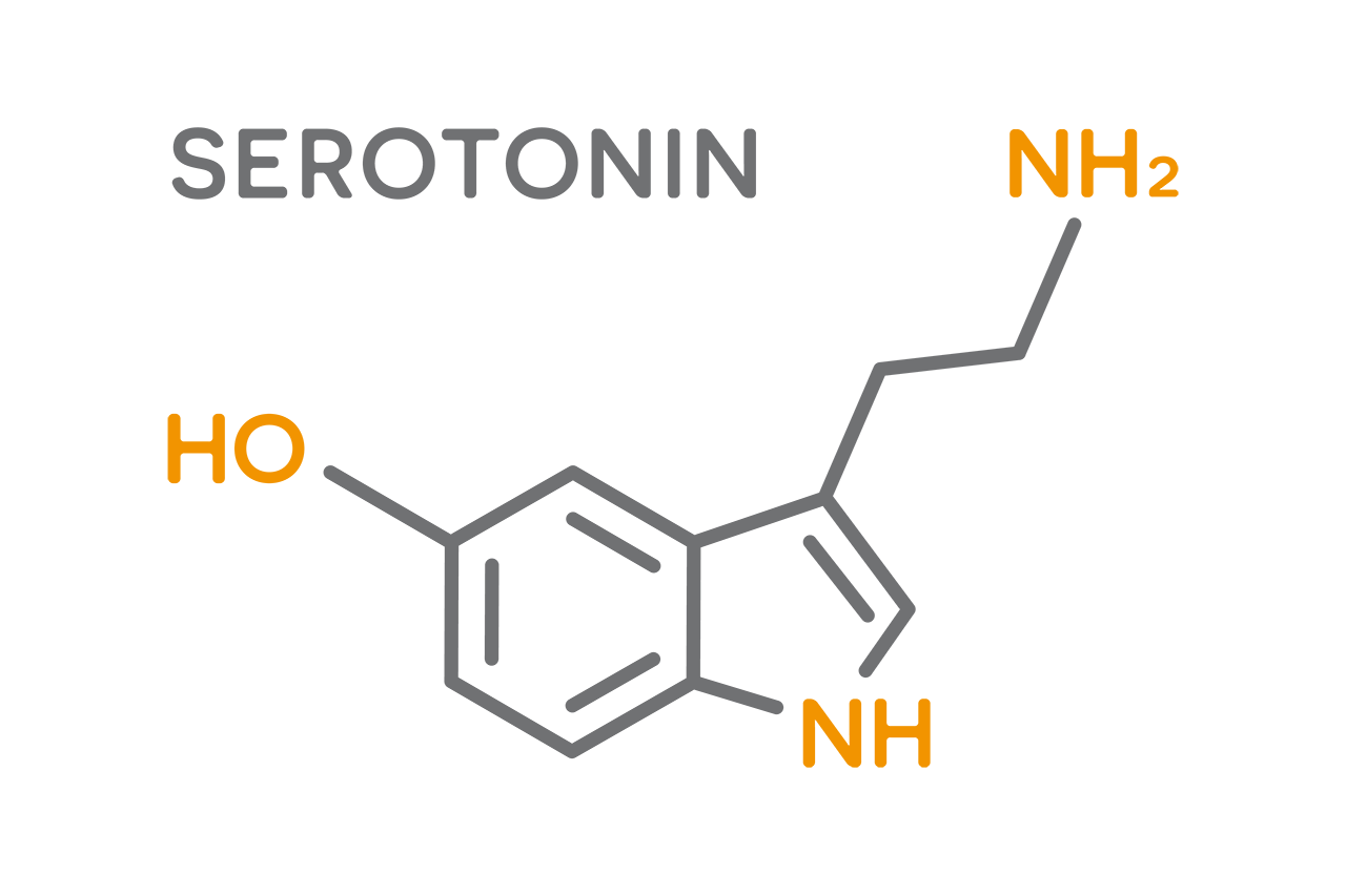 セロトニン