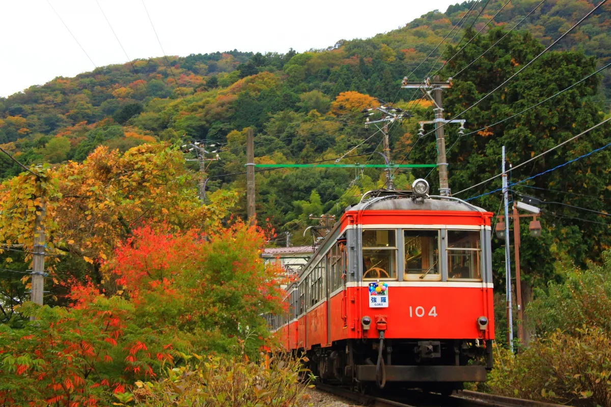 箱根登山鉄道と紅葉