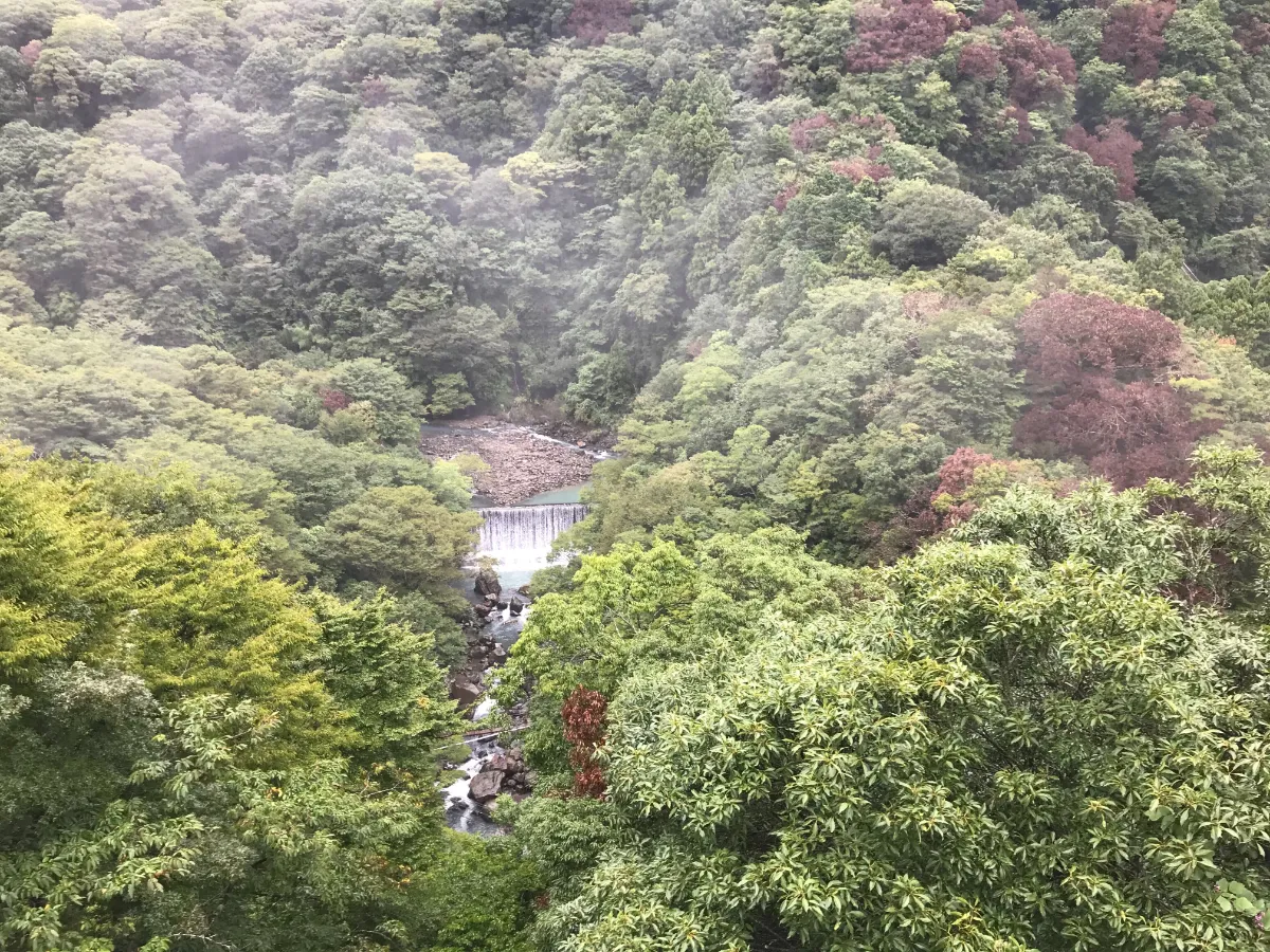 山薬の店内からの眺望