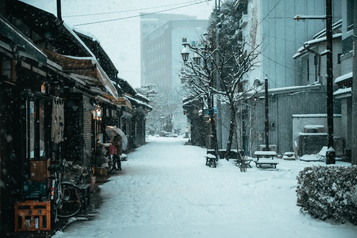白く染まる街、一年に一度の大雪/SUNAPPU24_3