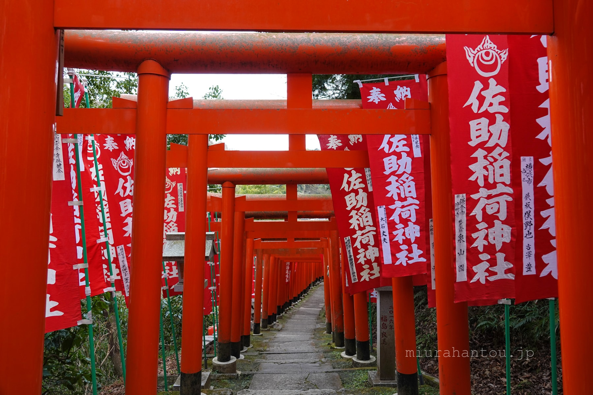 武内宿禰の霊言 ー日本超古代文明の「神・信仰・国家」とはー