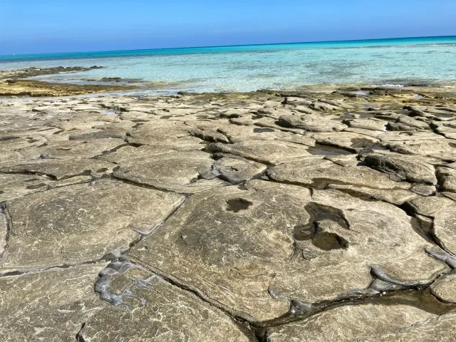 Emobi(えもび)｜電動トゥクトゥクレンタル