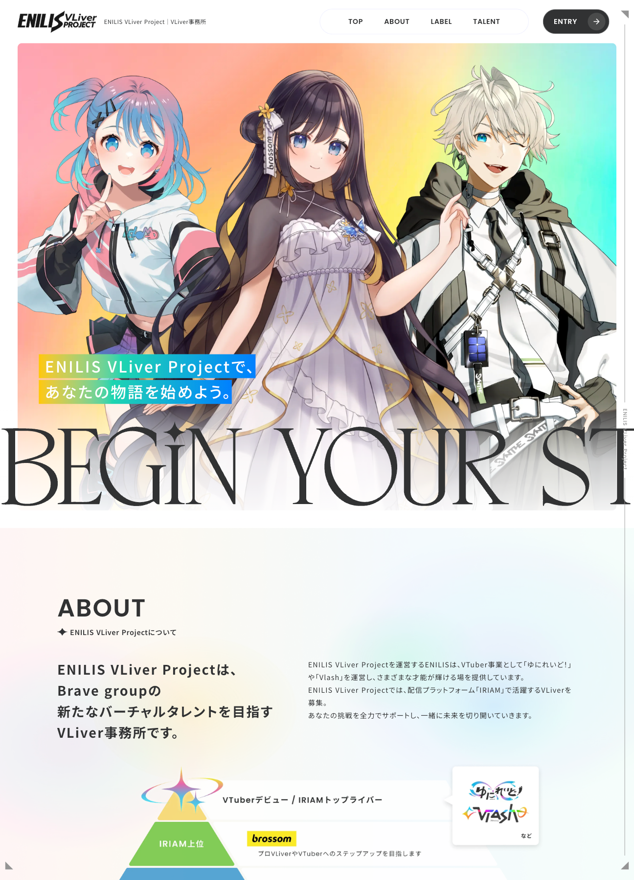 スクリーンショット:ENILIS VLiver Project