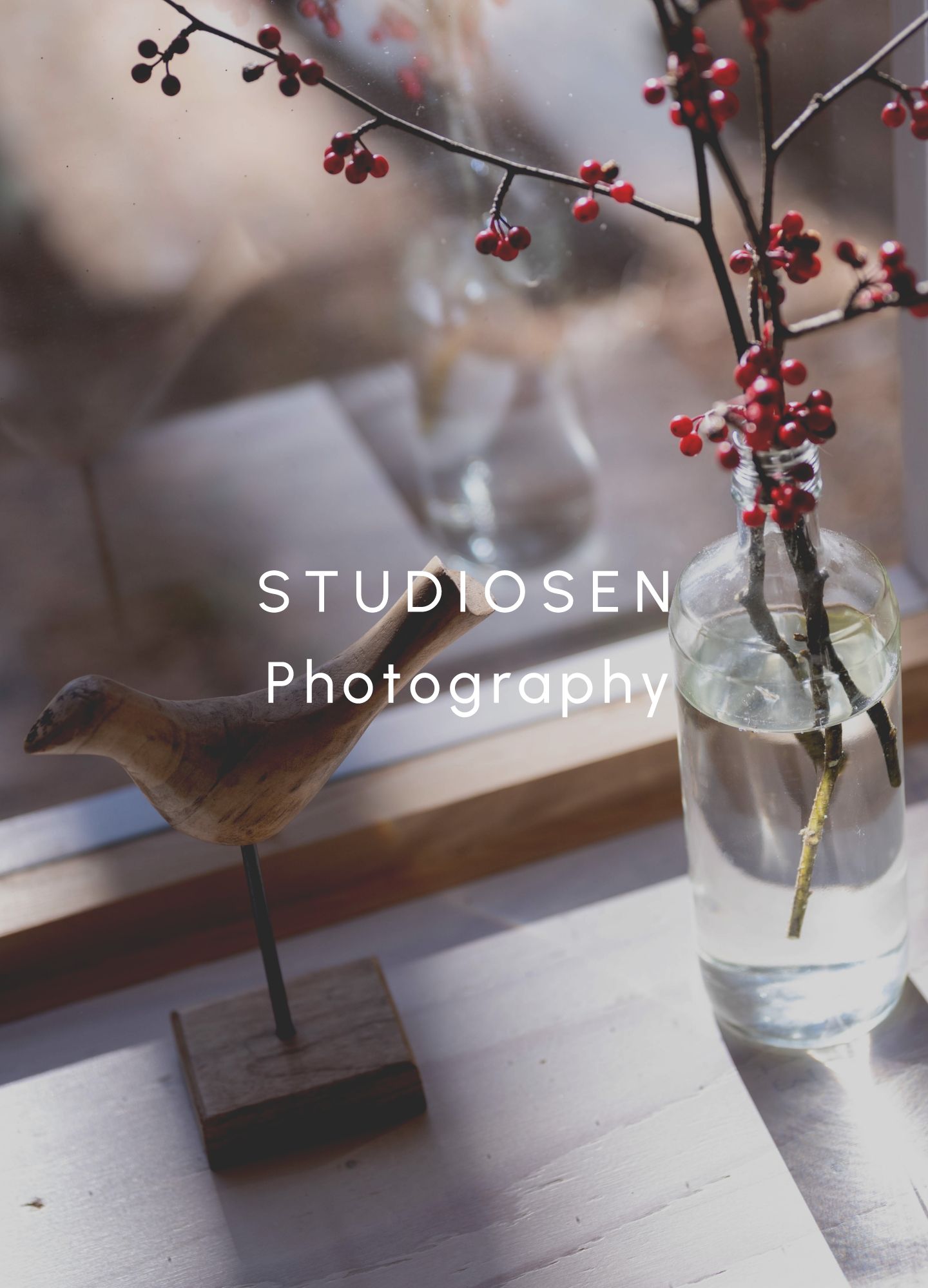 スクリーンショット:STUDIOSEN Photography