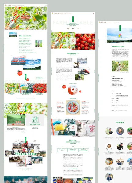 スクリーンショット：寺田農園