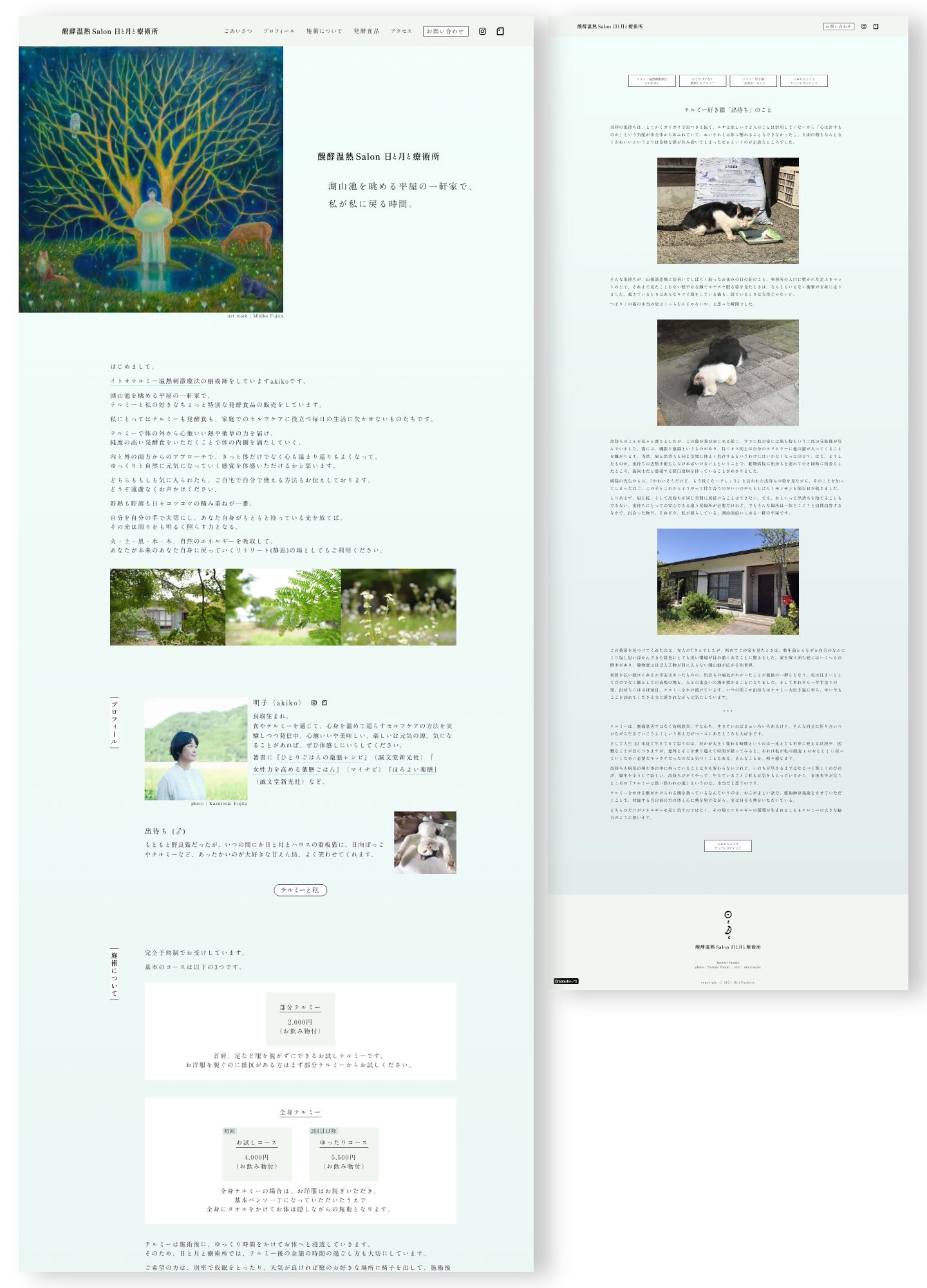 スクリーンショット:醗酵温熱Salon 日と月と療術所