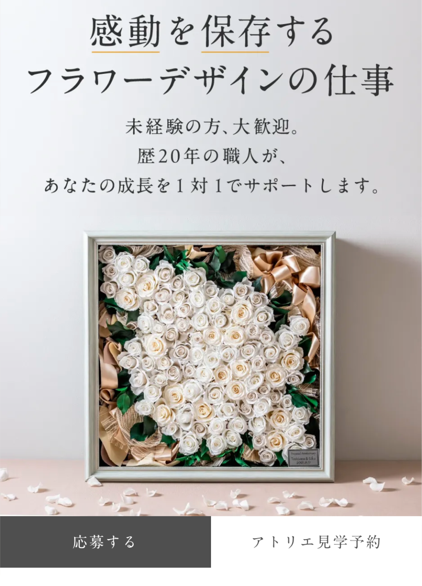 スクリーンショット:Amitie nori