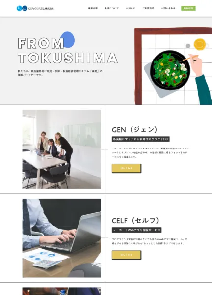 スクリーンショット：ロジックシステム株式会社