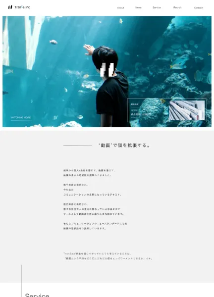 スクリーンショット：TranSe Inc. 