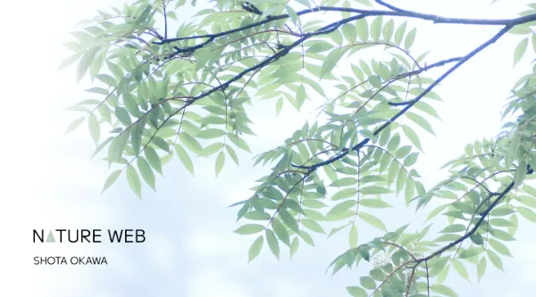 NATURE WEB