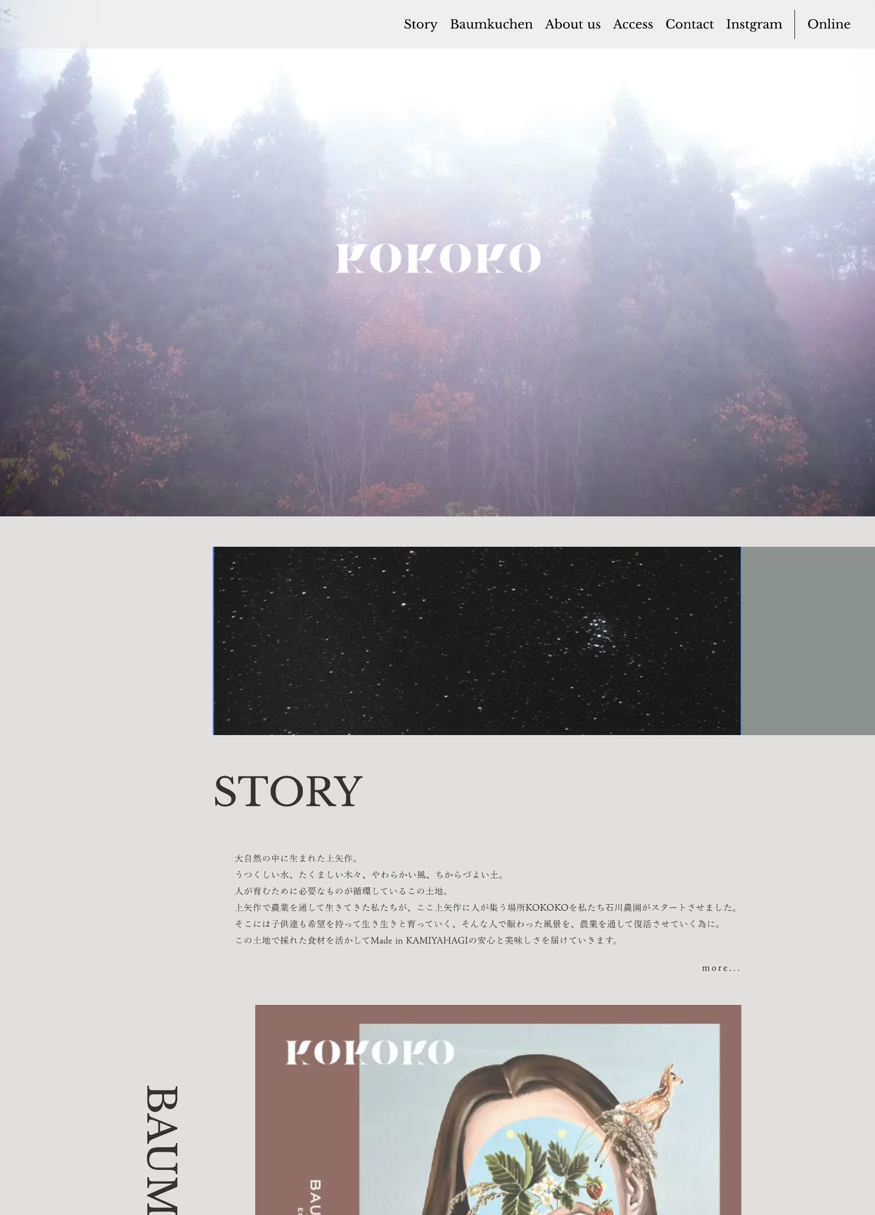 スクリーンショット:KOKOKOサービスサイト