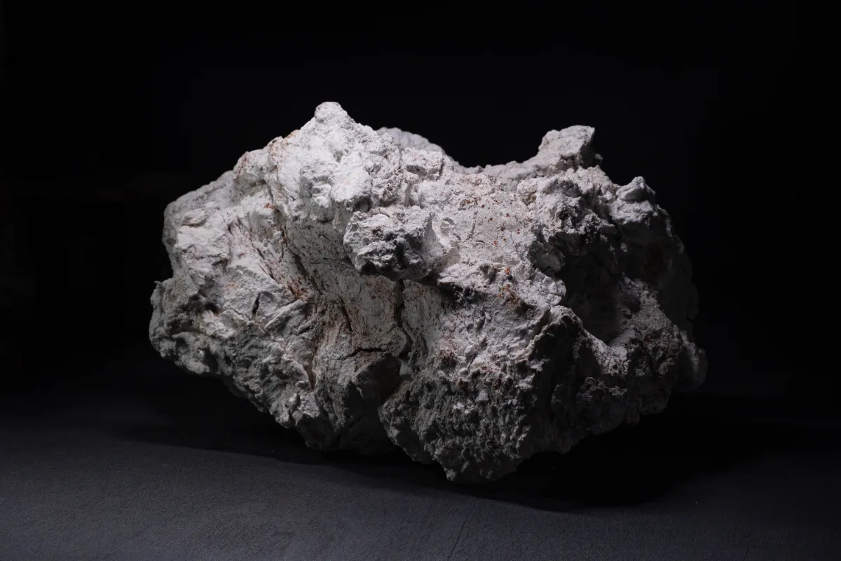 石田 和也 展 ―備前磁器の世界― ｜岡山県天神山文化プラザ