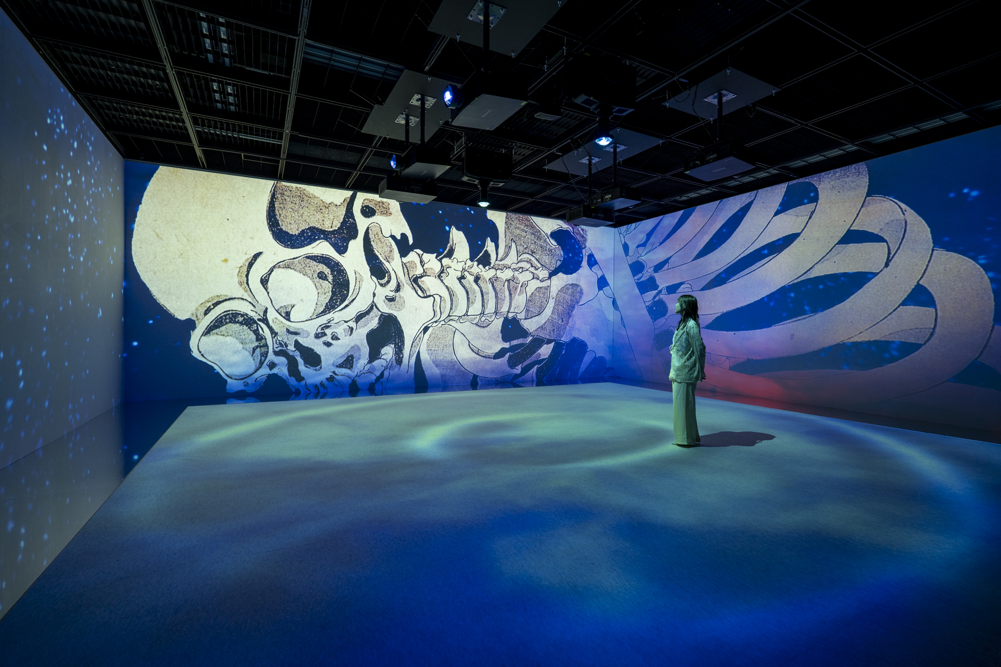 KUNIYOSHI IMMERSIVE ART in 歌川国芳展┃WORKS┃HITOHATA Inc.