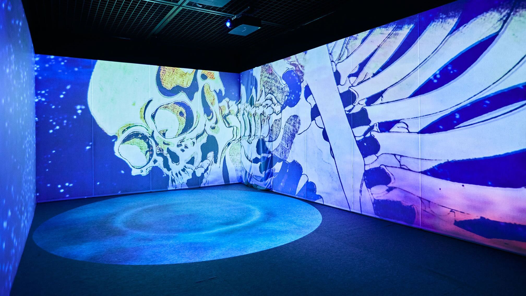 【新品未使用】歌川国芳展 アートブック 歌川国芳展 図録 ポストカード2枚 - メルカリ