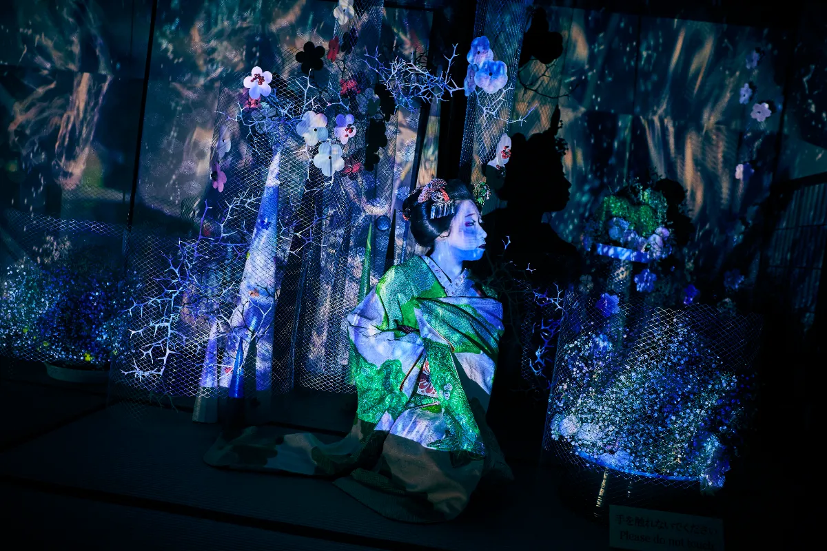愛知県指定有形文化財 伊藤家住宅×花とデジタルアートの祭典