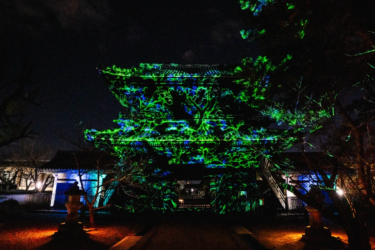 徳川将軍家菩提寺 成道山大樹寺 デジタルアートナイト 2025 山門