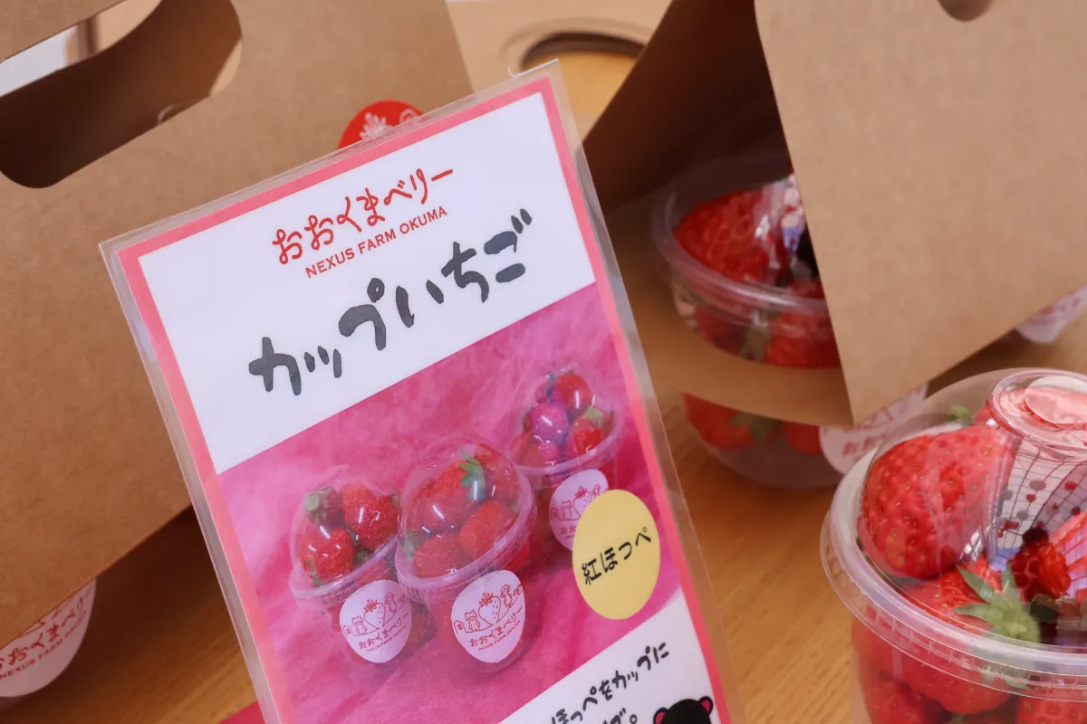 いちごをきっかけに、大熊を発信し人を呼び込む ｜おおくまStyle｜生活