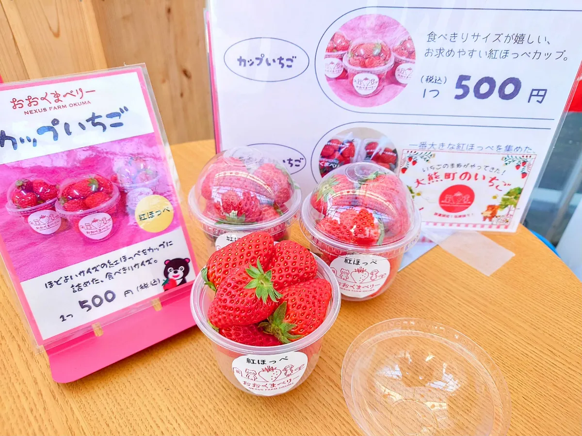 ネクサスファームおおくま直売所、営業中です！ ｜おおくまStyle｜生活