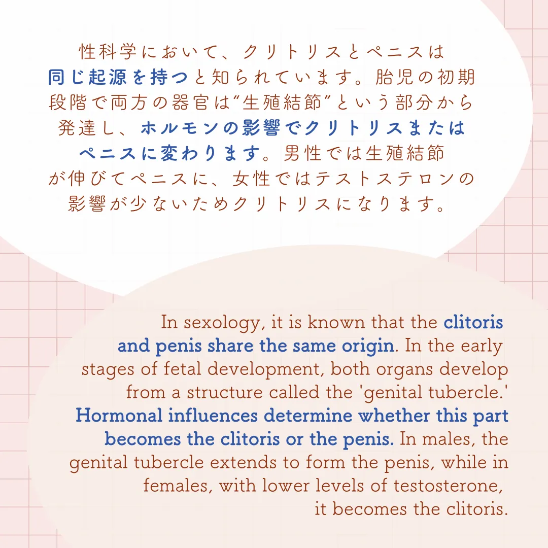 クリトリス 