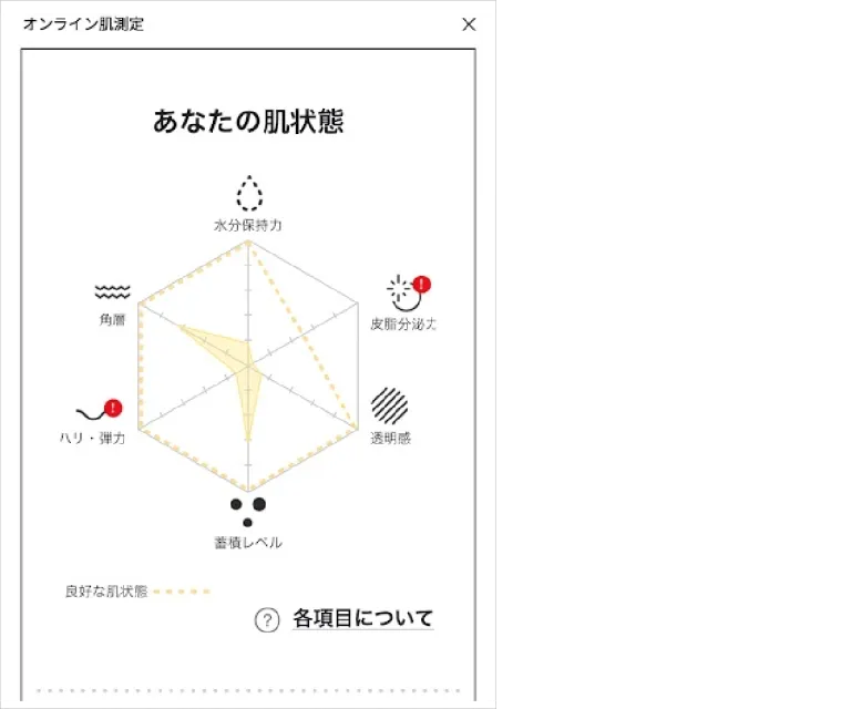 IPSA オンライン肌測定