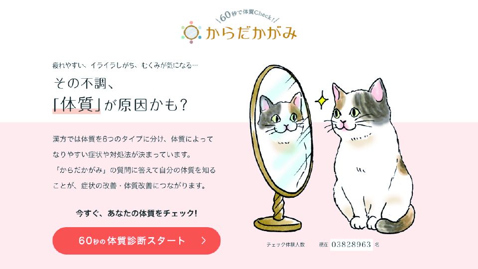 セラピストのための鑑別診断 セラピストのための鑑別診断