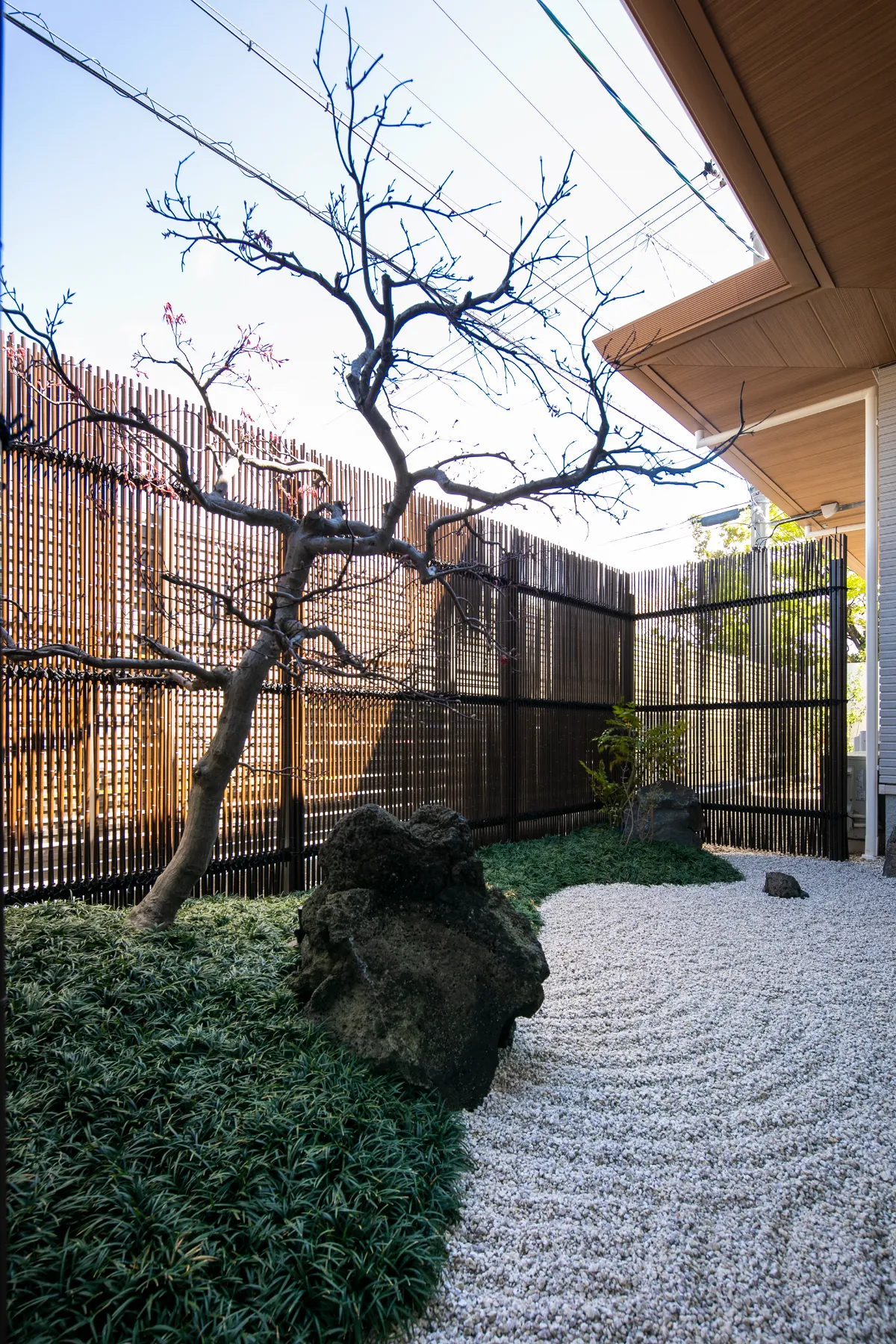 庭の植栽、石、松など