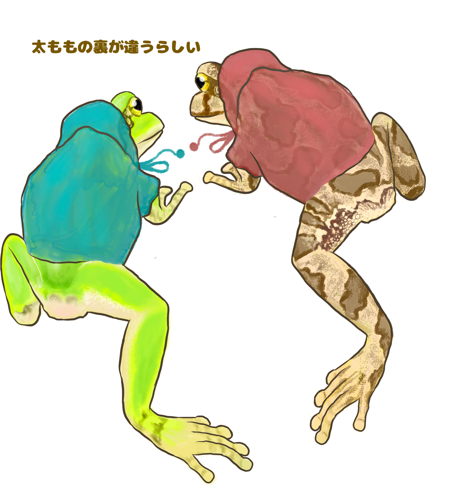 ガマガエルページ ヒガシニホンアマガエル