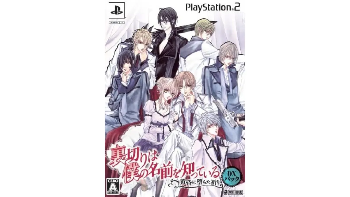 僕らは想いを身に纏う PS2 ガイザード・レボリューション 憎き