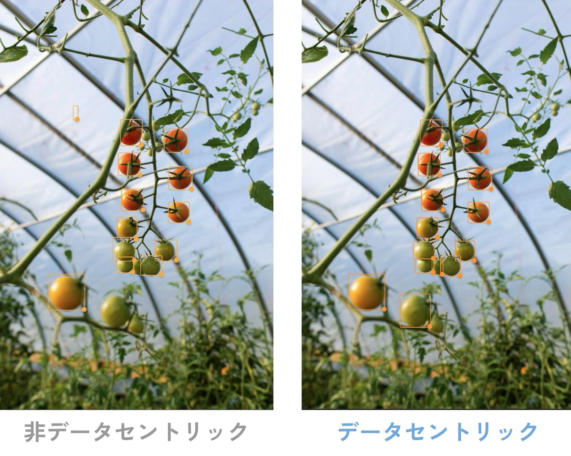 左:アノテーションミス(余計なもの・本来あるべきところにないもの)が含まれる。右:対象すべてにアノテーションが施されている。