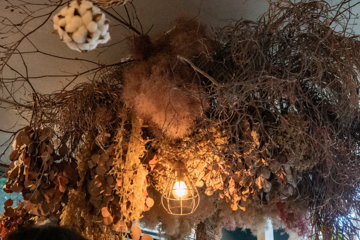 8月イベント　はなはなsaleを継続します。 カービング、タワー、原石、ロングイ 久留米市の石橋文化センターで『初夏の花まつり』が開催中です│LOG