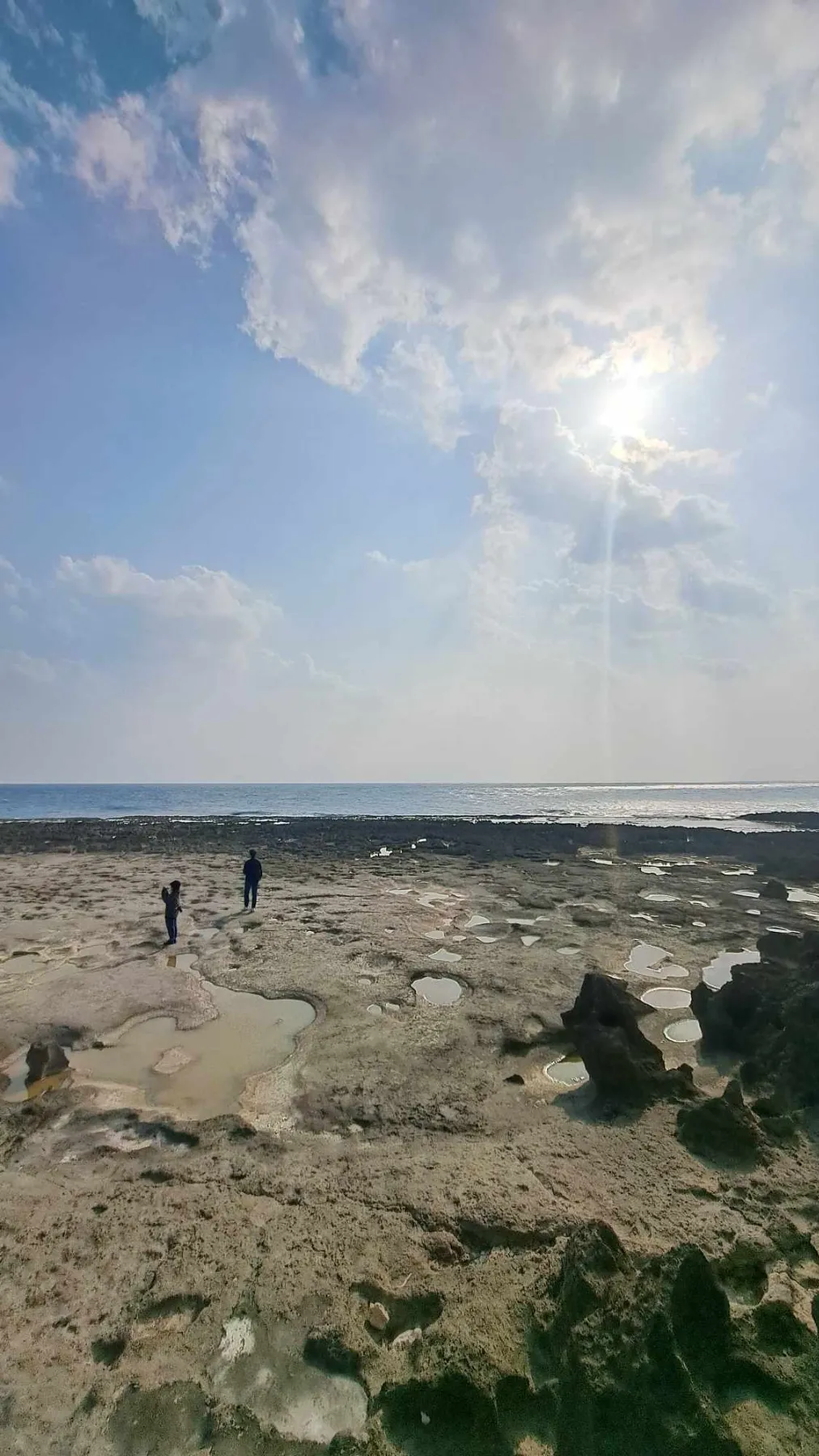 奄美群島を知る 丨奄美大島・徳之島・沖永良部島・喜界島・与論島のI