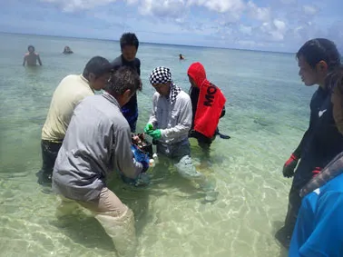 沖永良部島フリー滞在プログラム2025 丨奄美大島・徳之島・沖永良部島