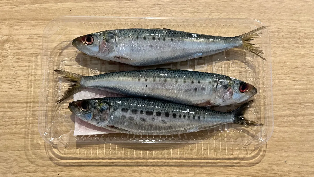 ま いわし ブログ