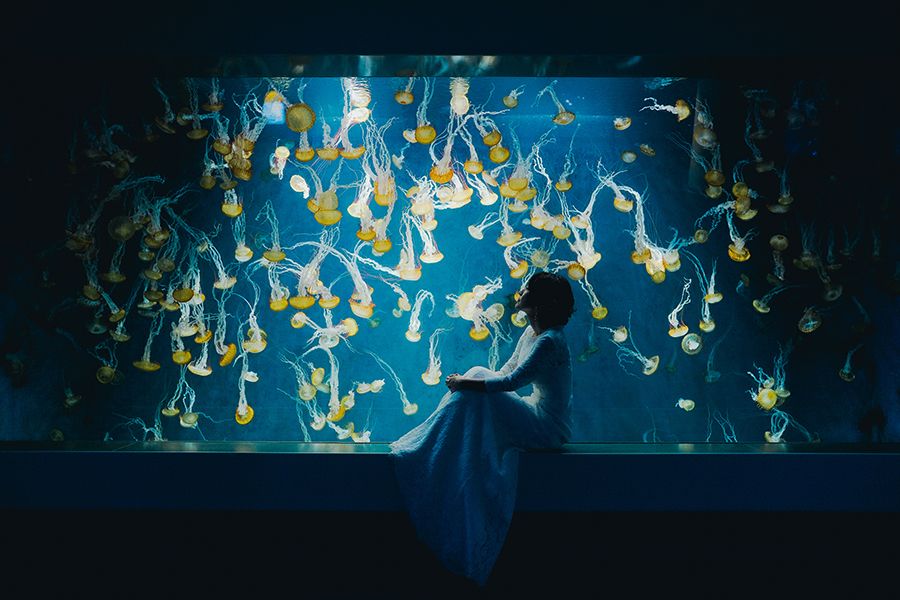 新江ノ島水族館