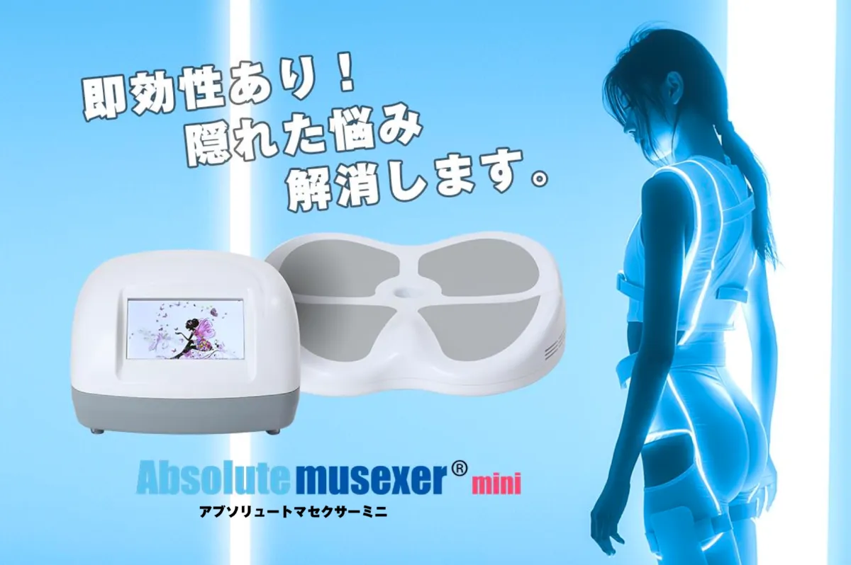 電磁パルス骨盤底筋マシーンマクセサーミニ