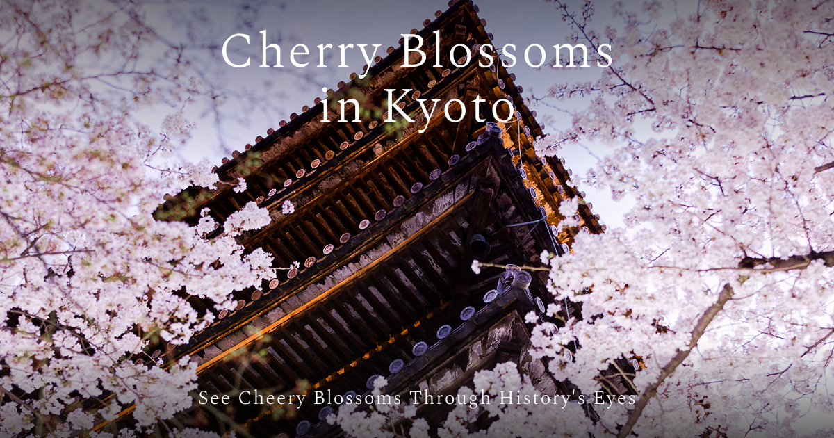 Wabunka|Cherry blossoms in Kyoto Wabunka|Cherry blossoms in Kyoto