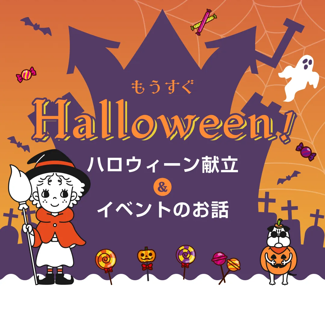 マチルダだより｜マチルダのハロウィーンがやってくる！👻🎃