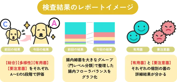 お知らせ : 株式会社サイキンソー |腸内フローラ検査を提供する