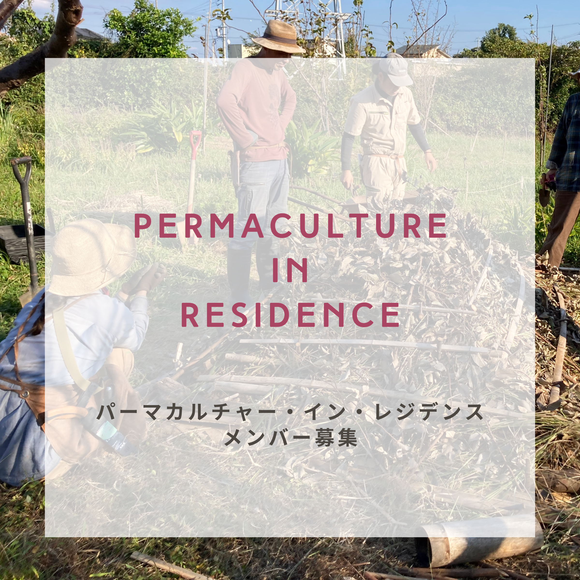 パーマカルチャー・イン・レジデンス | Permaculture Design Lab パーマカルチャー・イン・レジデンス | Permaculture Design Lab
