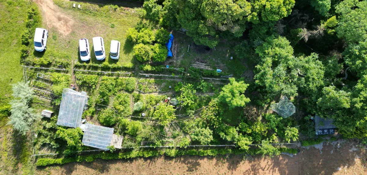 Forest gardening  パーマカルチャー関連 Forest gardening パーマカルチャー関連 パーマカルチャーとは