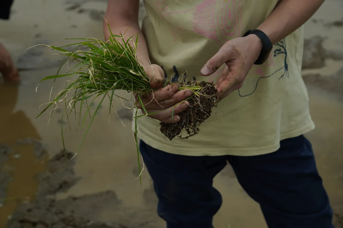 今年も無事に田植えが完了！