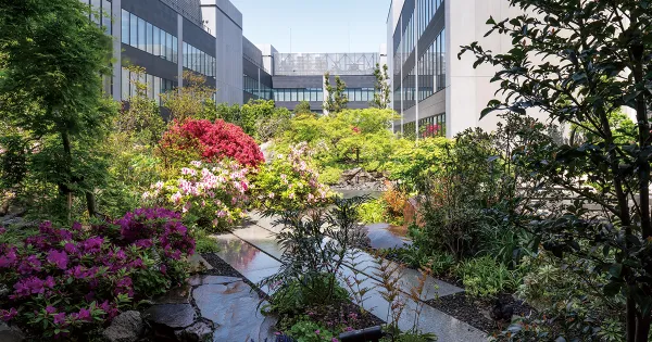 横浜新港ふ頭客船ターミナル（横浜ハンマーヘッド）