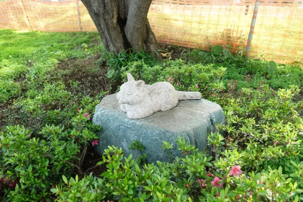 練馬区立上石神井こもれび公園