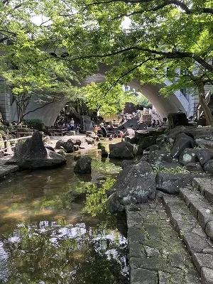 音無親水公園の流れ